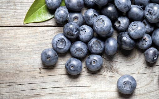 Fresh blueberries